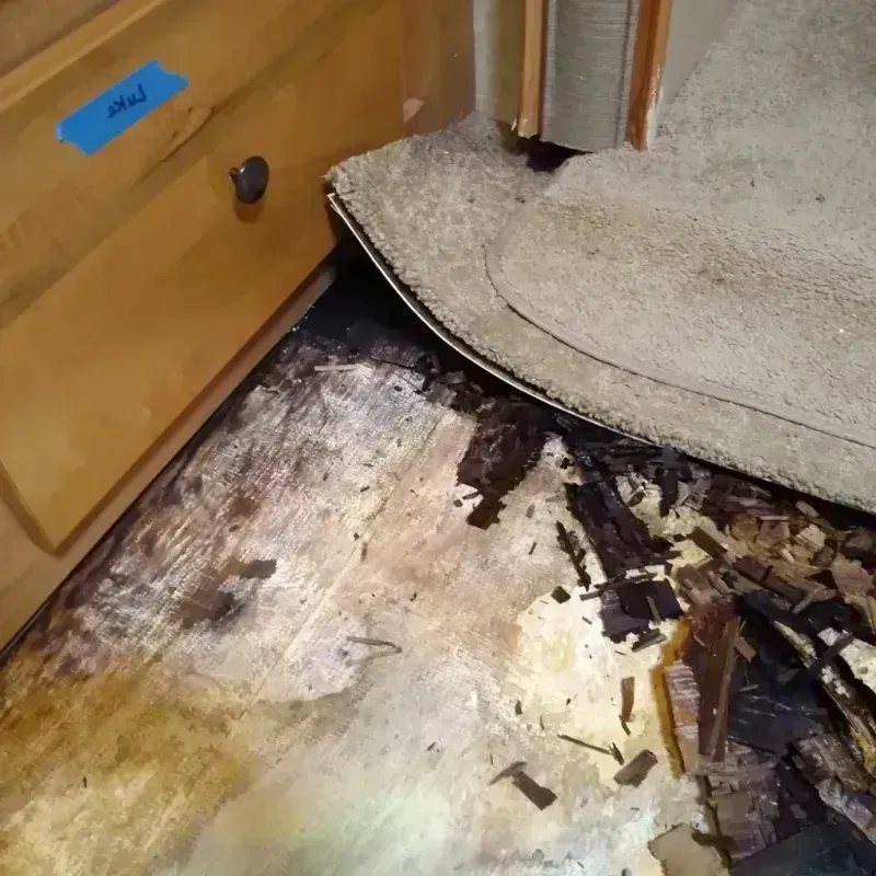 Wood Floor Water Damage in Summerside, OH